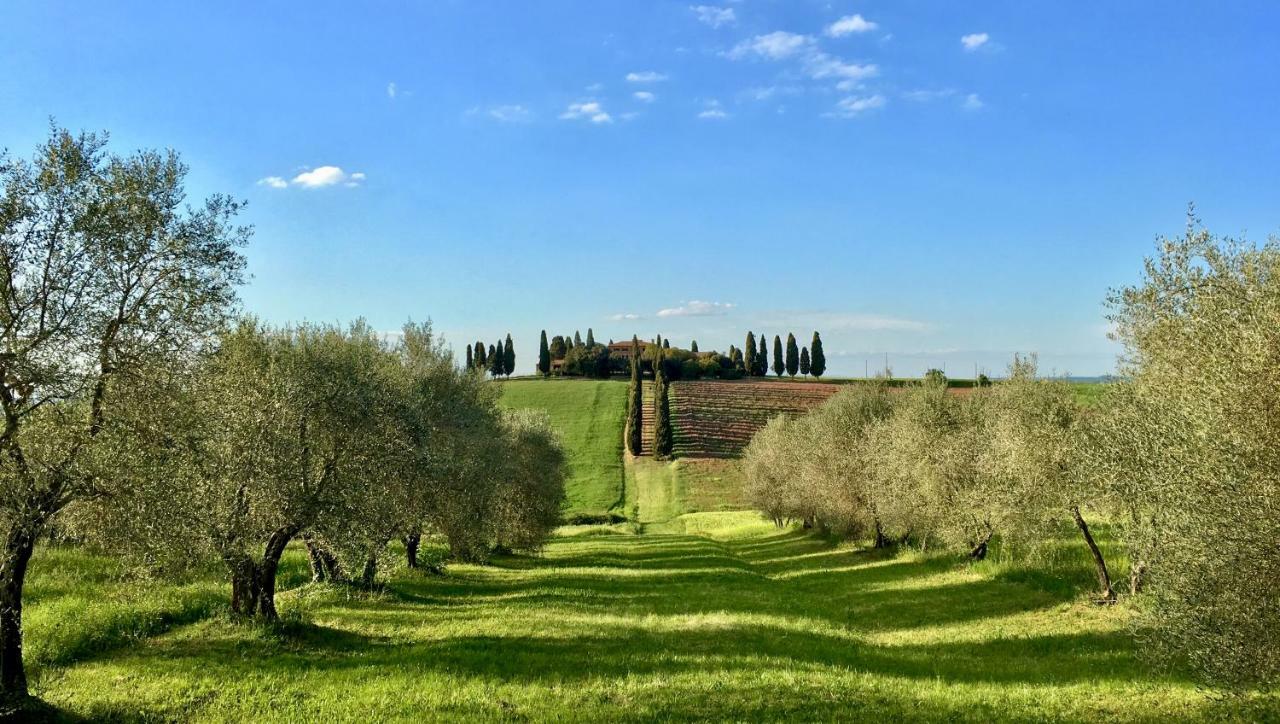 Residenza D'Epoca La Rosa Apartment Pienza Exterior foto
